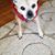RicknBon Carlson's profile image