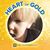Dawn Clark Rasmussen's profile image
