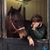 Diana Walcutt's profile image