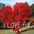 Lisa Hall Bouillon's profile image