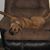 Barbara E Stowe's profile image