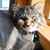 Mary Lou Sigler's profile image