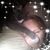 Evelyn Turner's profile image