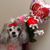 Nancy H Cardoza's profile image