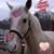 Denees Ethier Dmbnski's profile image