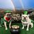 Joe Santosuosso's profile image