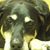 Barbara Boczon's profile image