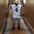 Jermaine Ferguson's profile image