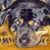 Ady Menon's profile image