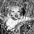 John Manning's profile image