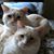 Marilyn Myrna's profile image