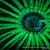 Rachel Bailey Shadle's profile image