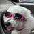 Karma Detra's profile image