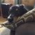 Cathy Hair LaFrance's profile image