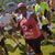 Enika Clark Bryant's profile image