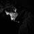 Hasan Ali El Gitano's profile image