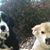 Amy Hart Secundy's profile image