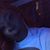 Paris Mitchell's profile image