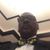 Michael Anderson's profile image