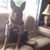 George Darras's profile image