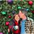 Judy Moye's profile image