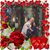 Kindra Kim's profile image