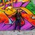 Nancy Stula's profile image