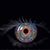 Tina Hunt Morgan's profile image
