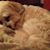 Mary Ellen Orzano's profile image