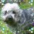 Lynne Fraser's profile image