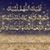 Farhat Naz's profile image