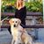 L Anne Hatton's profile image