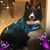 Tammie Kelshaw's profile image