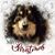 Jeff Niewinski's profile image