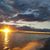 Tracy McCormick's profile image
