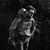 Nedden Torey's profile image