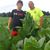 Scott A. Farrington's profile image