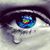 Sharon van Blerk's profile image