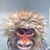 Andrew Van Roo's profile image