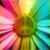 Brenda Hall's profile image