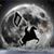 Julmin Dahman Taji's profile image