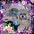 Jasmine Marie's profile image
