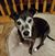Linda Kipp's profile image