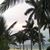 Jmef Flick's profile image