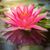 Renee Lehmann's profile image