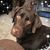 Christina Chizek Martens's profile image