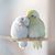 Maggie Huynh's profile image