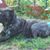 Sharyl Moser's profile image