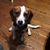 Starla Widner's profile image