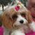 Rachel Mary Williams's profile image